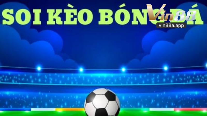 Cá cược bóng đá Vin88