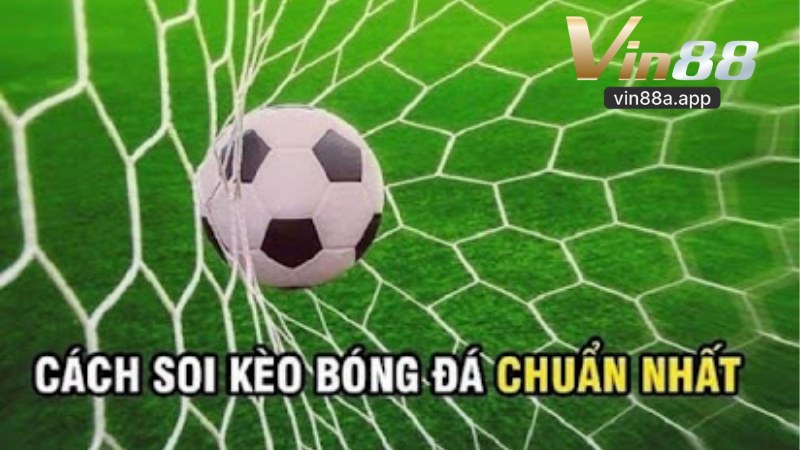 Cá Cược Bóng Đá Vin88