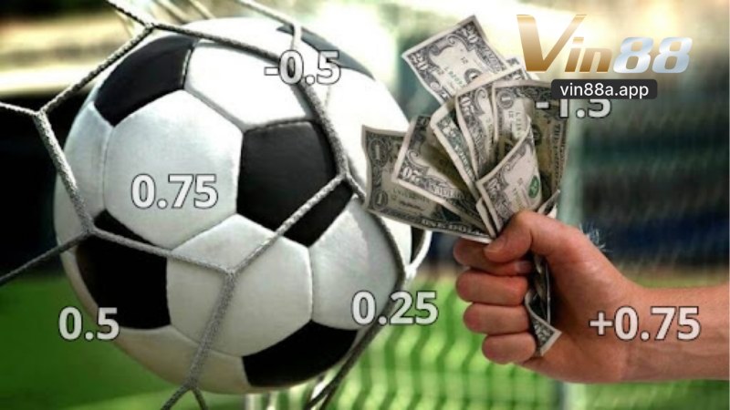 Cá Độ Uy Tín Vin88