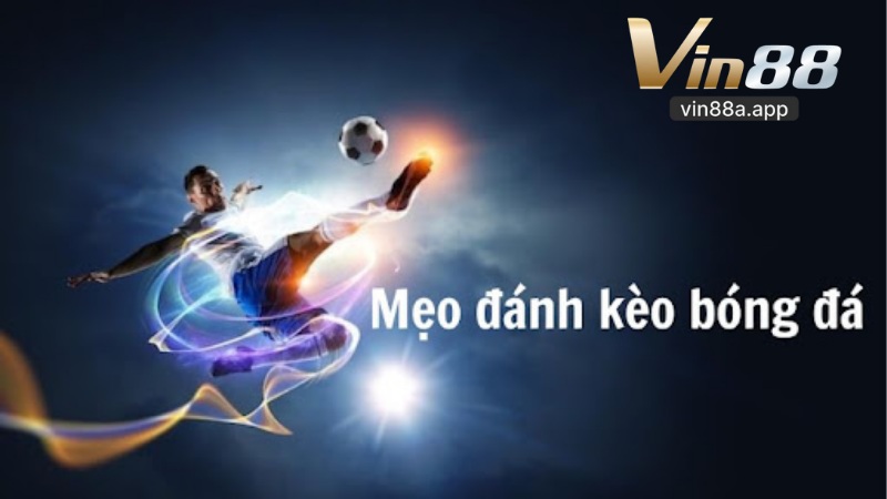 Cá Độ Uy Tín Vin88