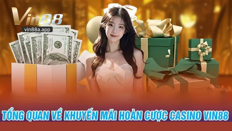 Khuyến mãi Vin88 và ưu đãi thành viên mới nhất 2026